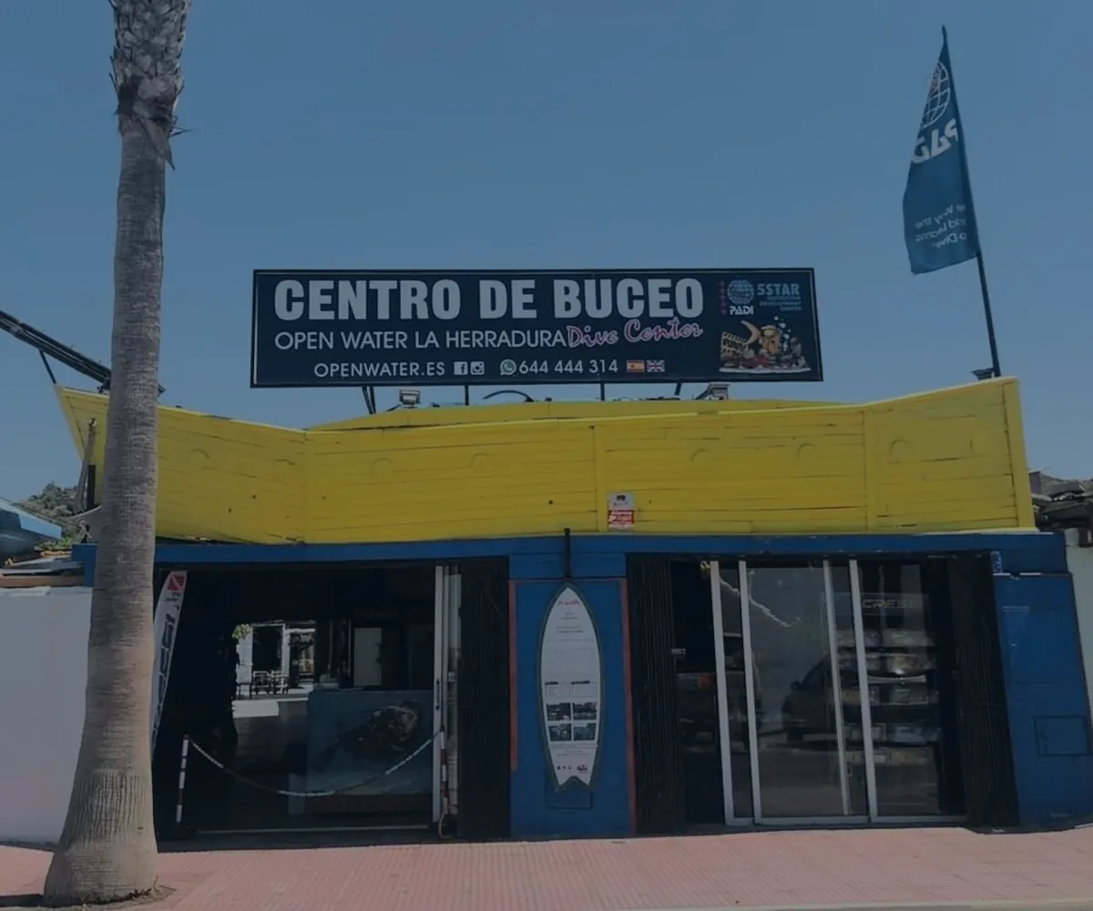Fachada del centro de buceo en el paseo: el rótulo de Open Water La Herradura sobre un porche de madera amarilla, la tienda a pie de calle y una palmera delante.