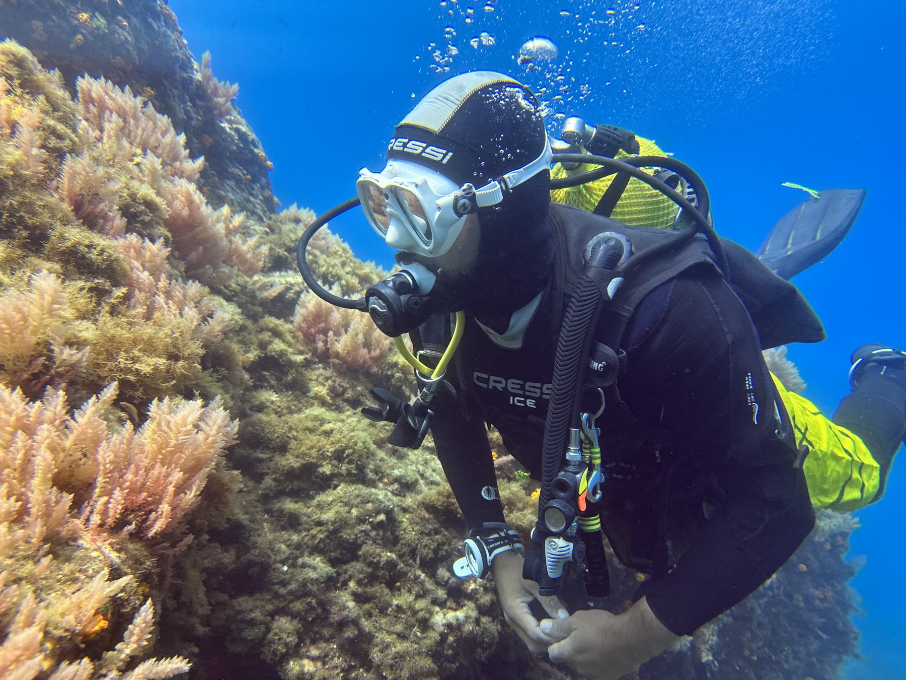 Buceador con botella amarilla junto a una pared de roca, bajo el agua azul.