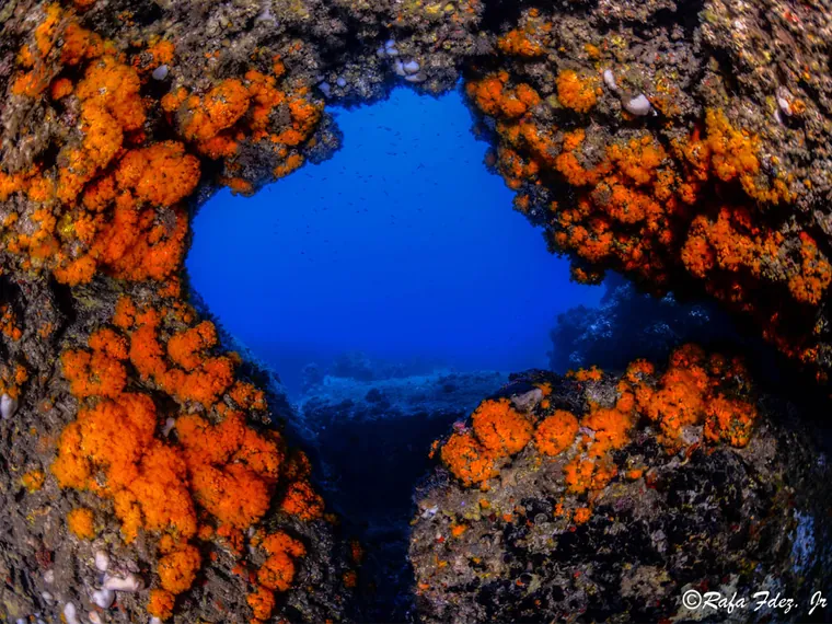 Coral naranja rodea una ventana de roca abierta al azul